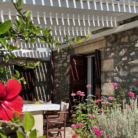 Villa La Familia Maison Traditionnelle Plakiász Kültér fotó