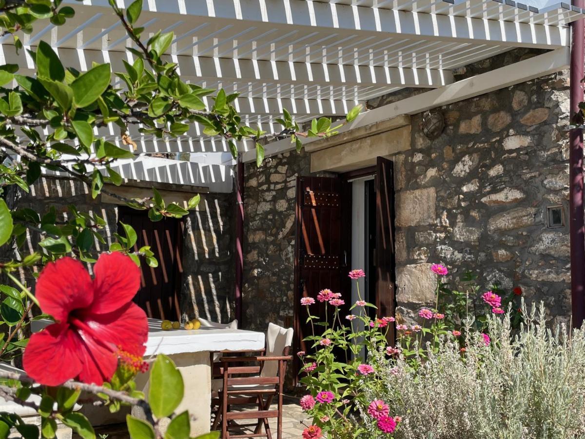 Villa La Familia Maison Traditionnelle Plakiász Kültér fotó